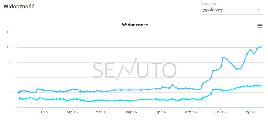 widoczność działań SEO na sklep intewrnetowy