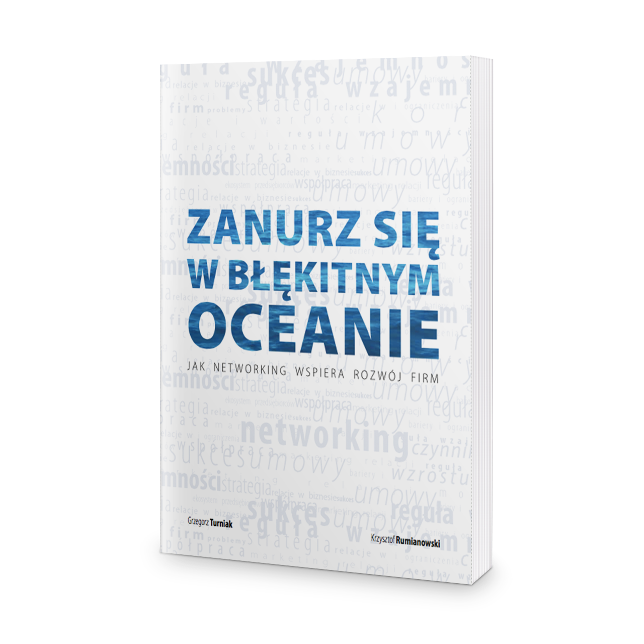 Zanurz się w błękitnym oceanie networkingu